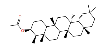 epi-Friedelinol acetate